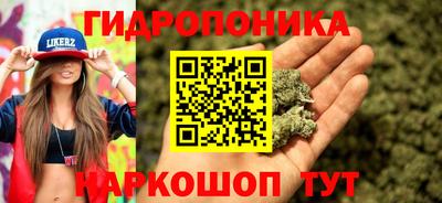 PSILOCYBIN Дубна